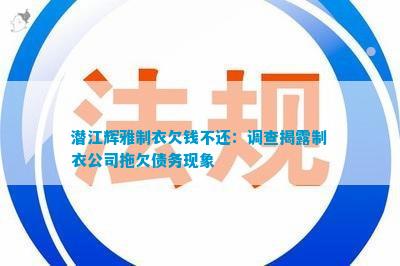 赢博体育app潜江辉雅制衣欠钱不还：调查揭露制衣公司拖欠债务现象(图2)